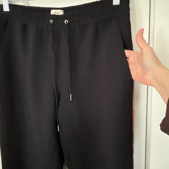 ARITZIA Wilfred Buffon Pant Jogger Black with Stripe Down Sides Womens Medium - Picture 5 of 14